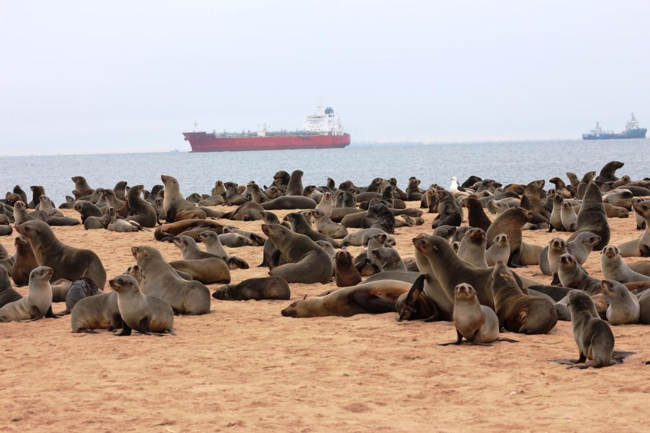 Amjicaja Guesthouse, Tours & Rentals Walvis Bay Zewnętrze zdjęcie